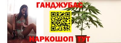 гашик Жуковский