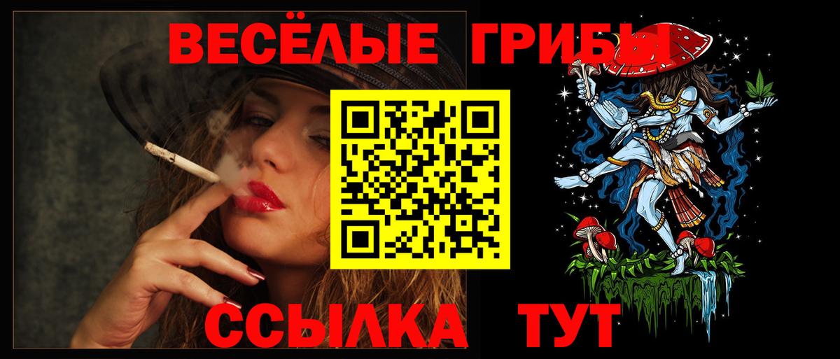 Михайловск  Галлюциногенные грибы GOLDEN TEACHER  Вход с VPN 